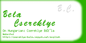 bela csereklye business card